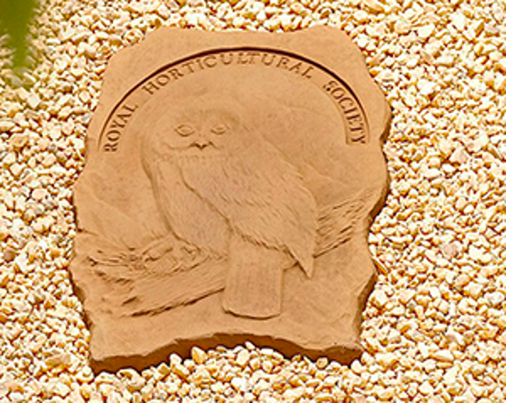RHS Deals for Stepping Stones RHS Deals for Stepping Stones