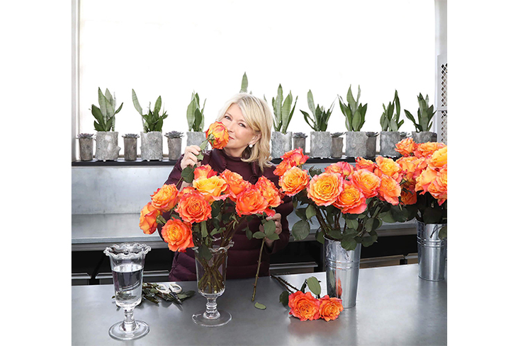 Martha Stewart Plants Flowers Subscription Line Martha Stewart Plants Flowers Subscription Line