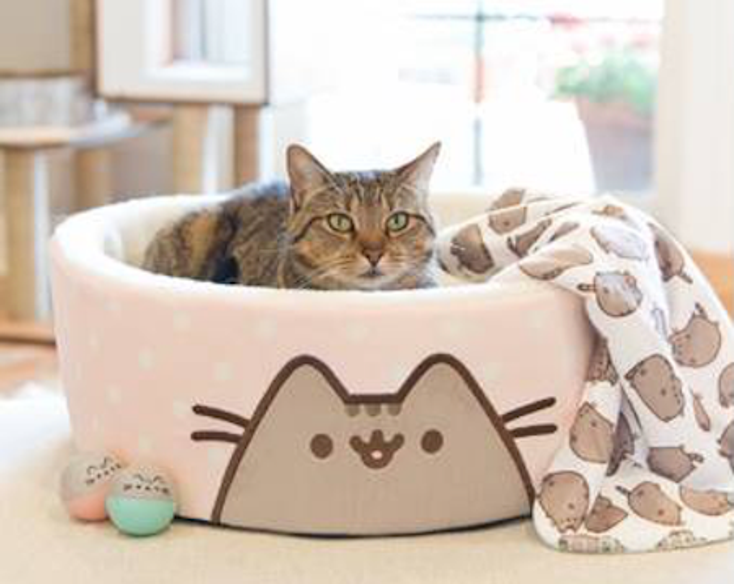 Pusheen Heads to Petco Pusheen Heads to Petco