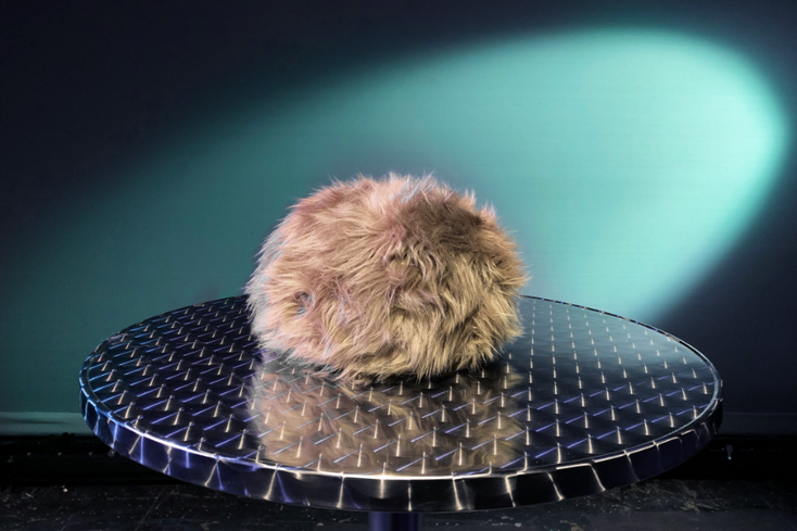 A Most Curious Creature: Science Division, CBS Unveil Interactive Tribbles