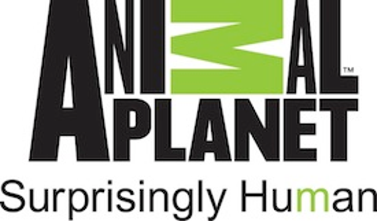 Discovery Expands Animal Planet Baby