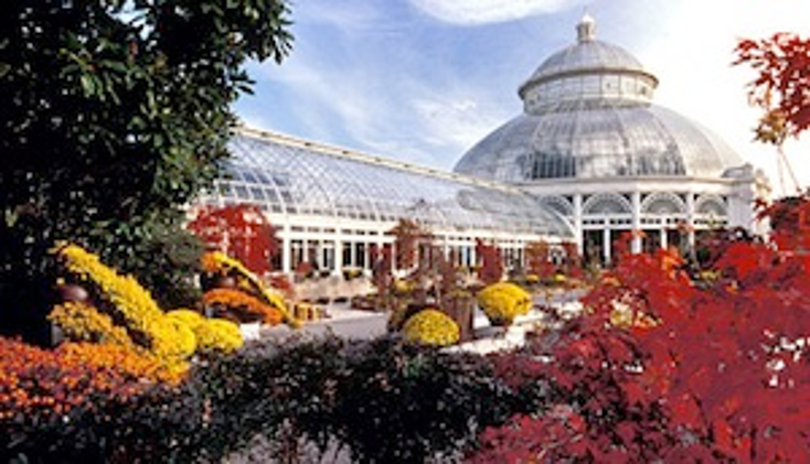 NY Garden Grows with Bedding NY Garden Grows with Bedding