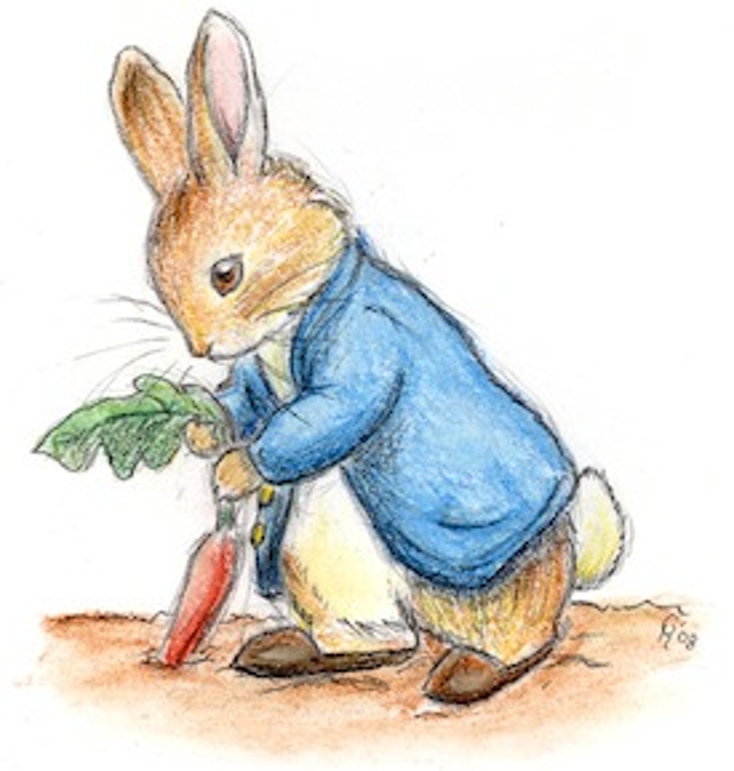 Peter Rabbit Adds New Partners Peter Rabbit Adds New Partners