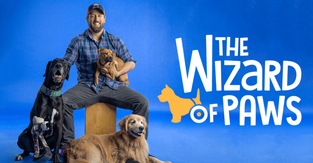 wizardofpaws.png