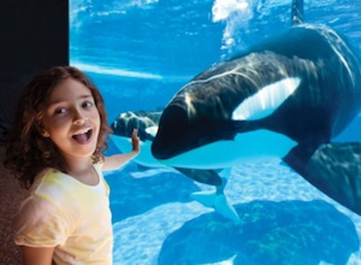 SeaWorld Signs Ruckus Media Group SeaWorld Signs Ruckus Media Group