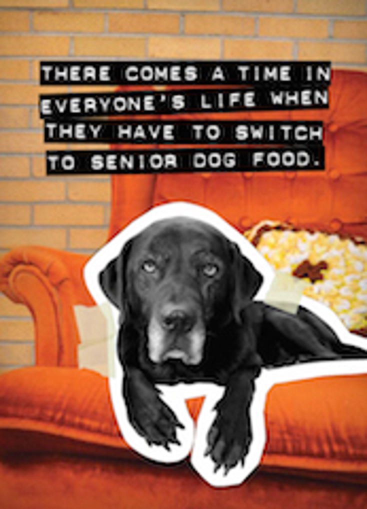 Genius Names Plush Licensee Genius Names Plush Licensee