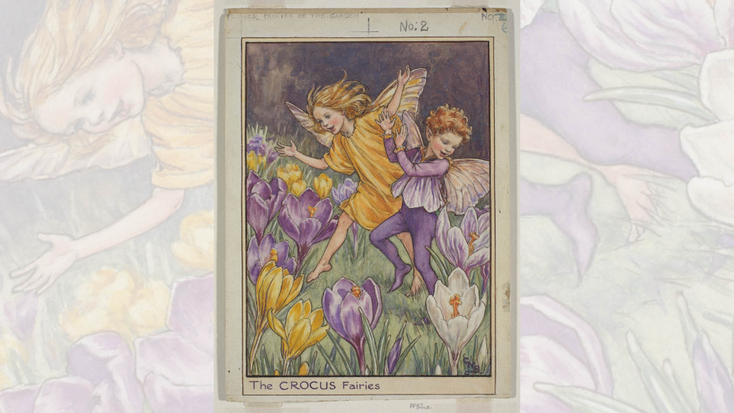 The Crocus Fairies. 