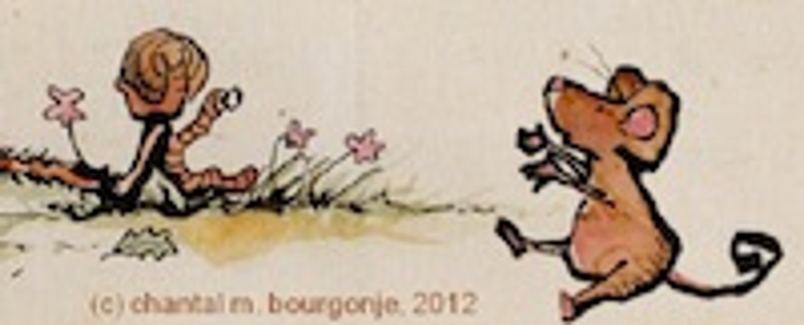 Curious Little Mouse to Make Debut Curious Little Mouse to Make Debut