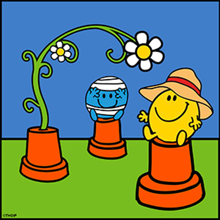 Mr. Men, Little Miss Plant New Garden Products Mr. Men, Little Miss Plant New Garden Products