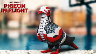 The Pigeon in Flight from Mighty Jaxx.