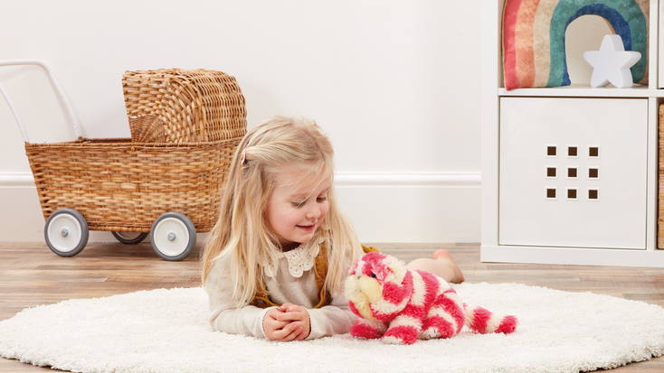 Bagpuss plush. Bagpuss plush.