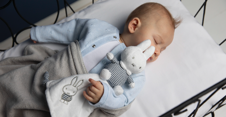 miffy.png miffy.png