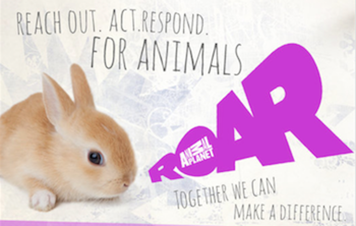 Retailers Raise Money with Animal Planet Retailers Raise Money with Animal Planet