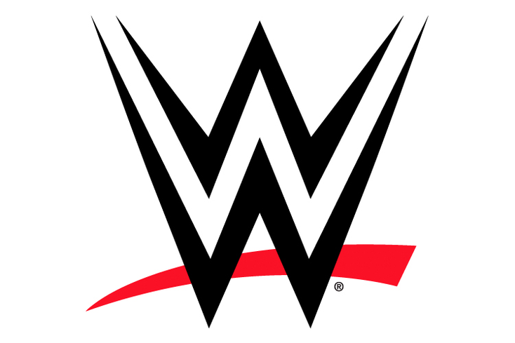 WWE Names New SVP of Consumer Products