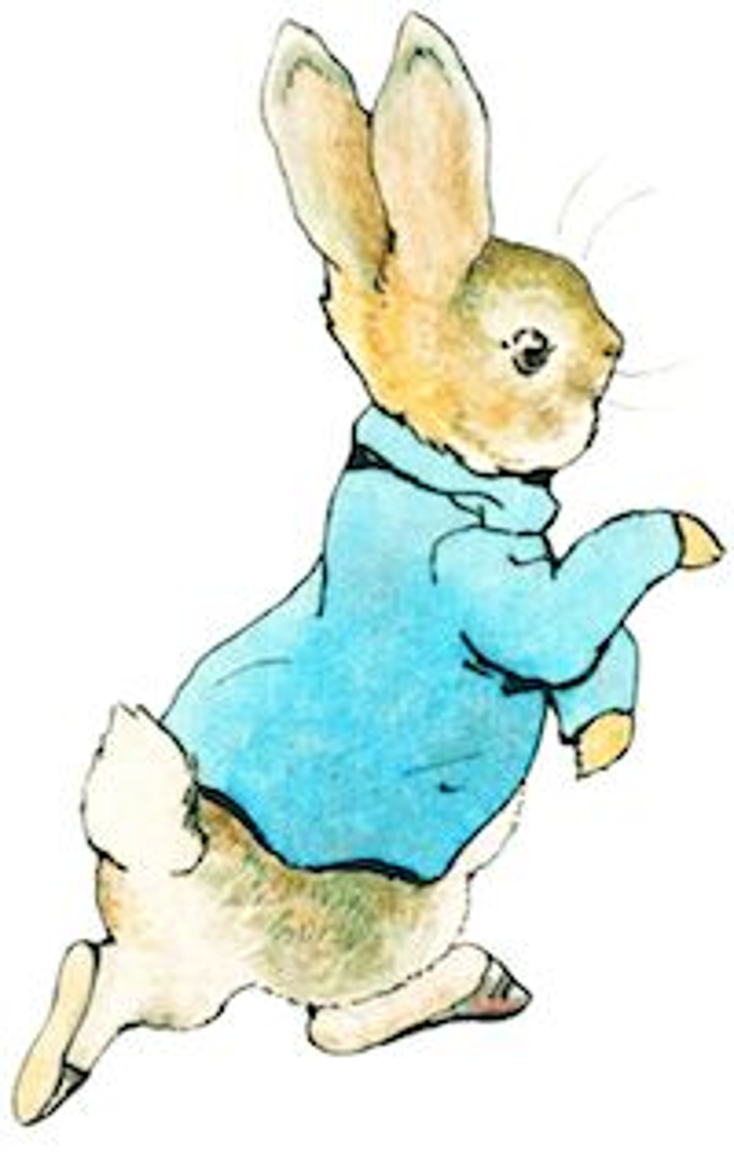 Peter Rabbit Hops onto Gifting Line Peter Rabbit Hops onto Gifting Line
