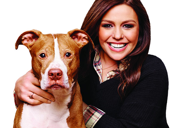 Put A Leash On It: Licensed Pet Products Take Off Put A Leash On It: Licensed Pet Products Take Off