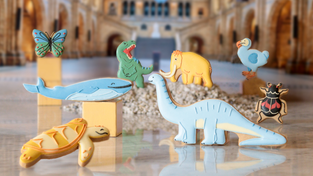 Natural History Museum dinosaur hand-iced biscuit collection
