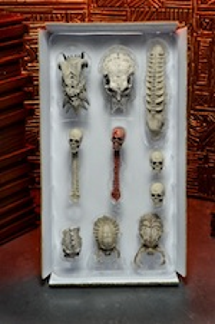NECA Releases Predator Trophy Skulls