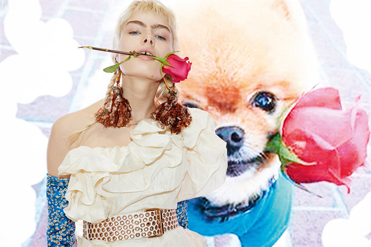 Pup Influencer Takes Paris Pup Influencer Takes Paris