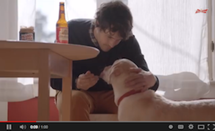 Beer Brands Spend $23M on YouTube
