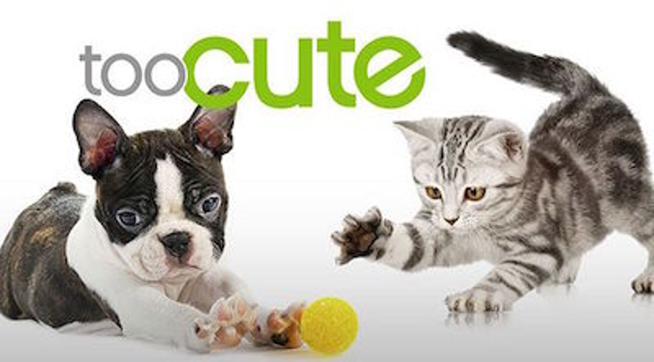 Discovery Expands Plush Partnership Discovery Expands Plush Partnership