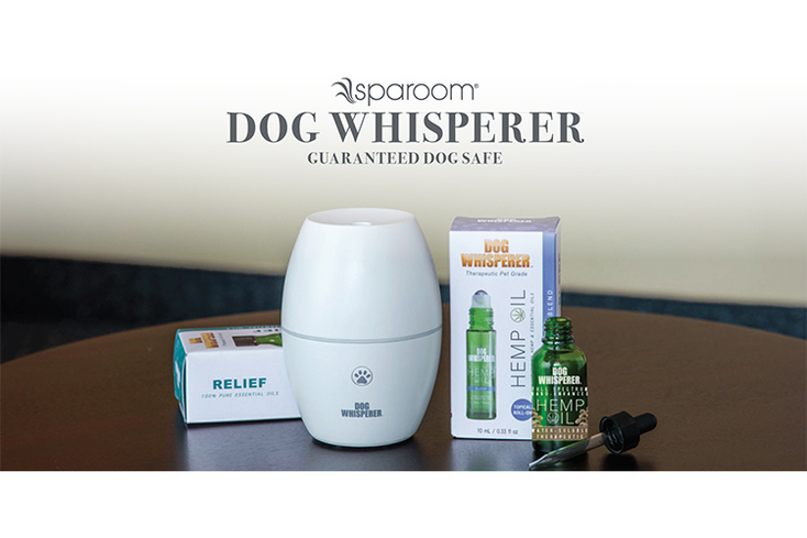 'Dog Whisperer' Trains Partners