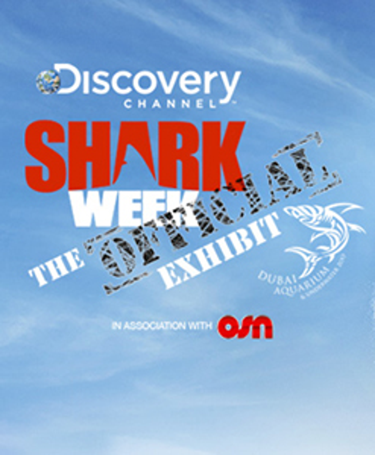 Dubai Aquarium Hosts ‘Shark Week’ Exhibit