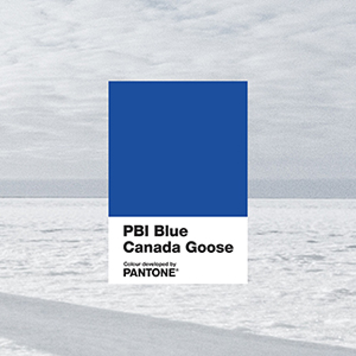 Canada Goose, Pantone Honor Polar Bears Int'l Canada Goose, Pantone Honor Polar Bears Int'l
