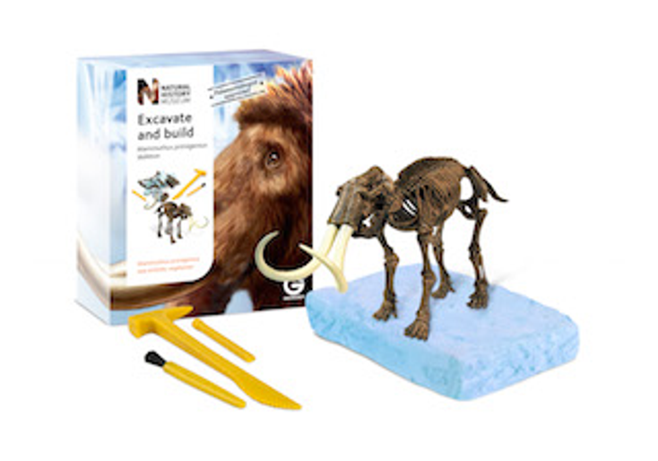 U.K. Natural History Museum Adds Partners U.K. Natural History Museum Adds Partners