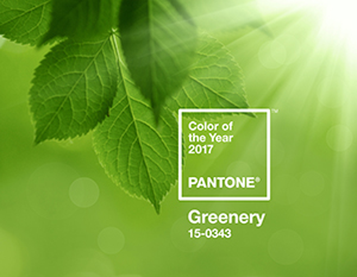 Pantone Reveals Color of the Year