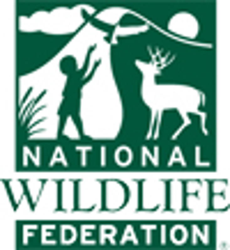NWF Names New Marketing VP NWF Names New Marketing VP