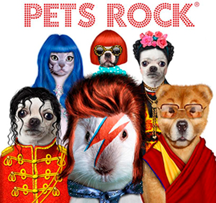 Wish Factory to Develop Pets Rock Merch Wish Factory to Develop Pets Rock Merch