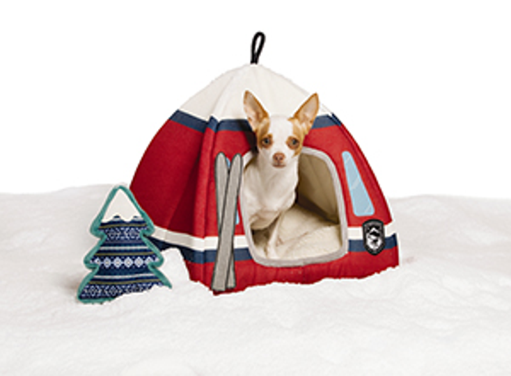 Ellen DeGeneres Gets Her Pet Line Ready for Winter