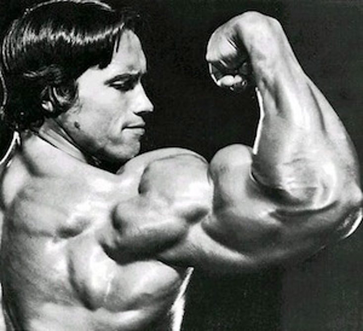 Schwarzenegger Builds Nutrition Line Schwarzenegger Builds Nutrition Line