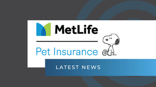 The Metlife logo alongside Snoopy. 