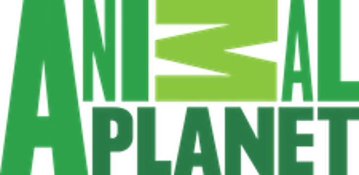 Animal Planet Plans Pet Line Animal Planet Plans Pet Line