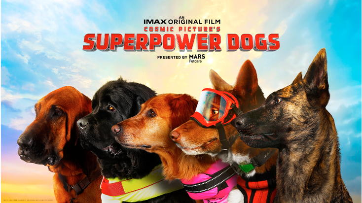 Tzumi Pets Becomes First Licensee for Superpower Dogs