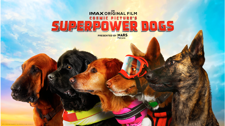 Tzumi Pets Becomes First Licensee for Superpower Dogs Tzumi Pets Becomes First Licensee for Superpower Dogs
