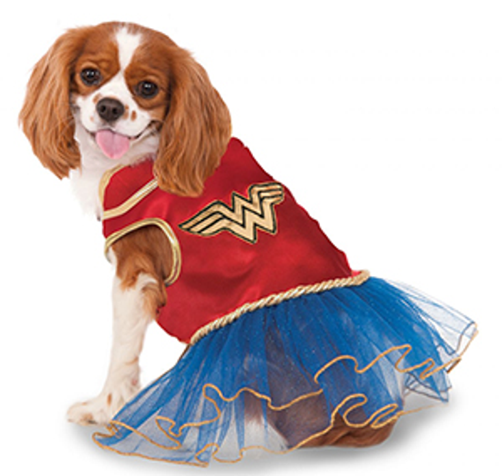 Rubie's Pet Shop to Sponsor Halloween Dog Parade