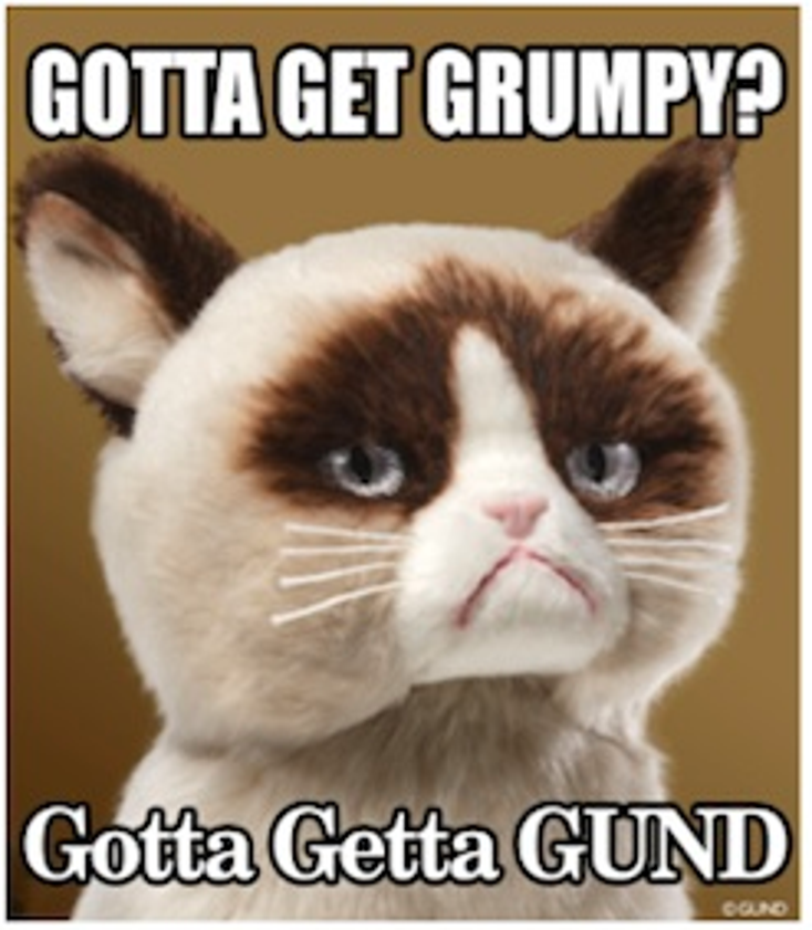 Gund Debuts Grumpy Cat Plush
