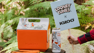 Bugs Bunny Cooler, Igloo, Looney Tunes