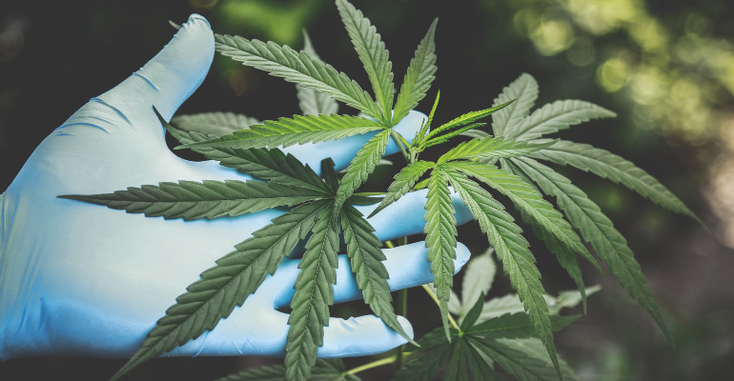 reefer.png reefer.png