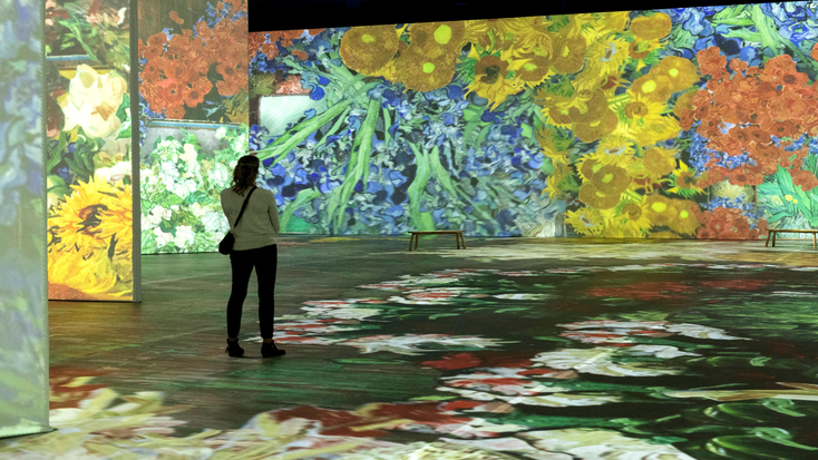 A spectator at “Beyond Van Gogh: The Immersive Experience"