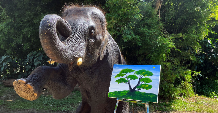 ElephantNFT.png ElephantNFT.png