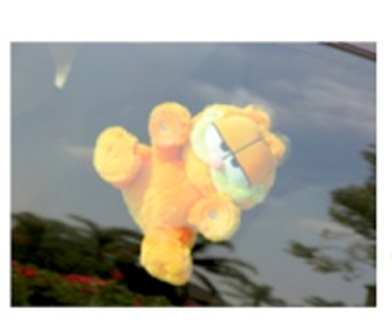 Garfield_2.jpg Garfield_2.jpg