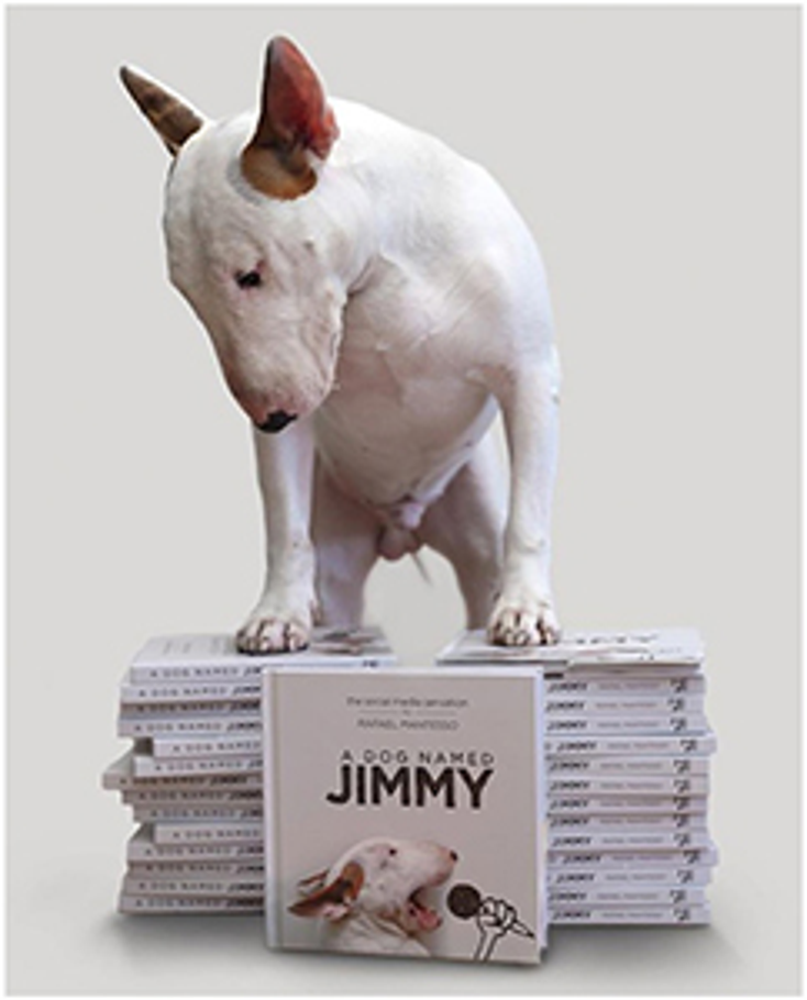 Brand Liaison to Rep Jimmy the Bull Brand Liaison to Rep Jimmy the Bull