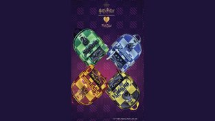 Fred Segal x Harry Potter Line, Concept One 