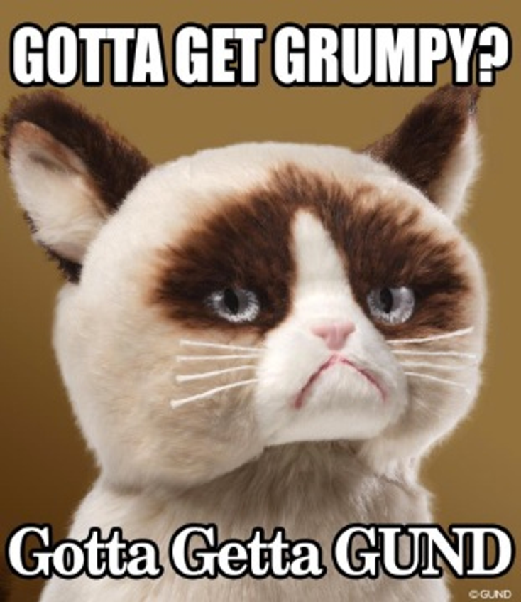 Gund Adds More Grumpy Cat