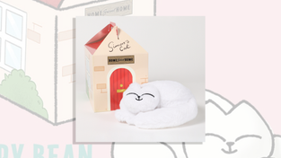 A Simon's Cat plush.