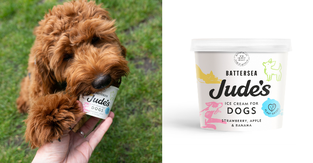 DogIceCream.png